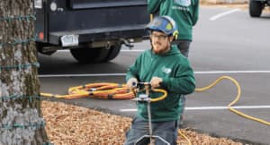 HOA Tree Services in Nashville: Professional Care for Communities