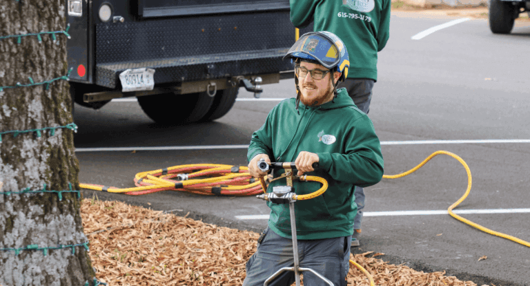 HOA tree services in Nashville by The Good Tree Company for safe, healthy, and beautiful communities