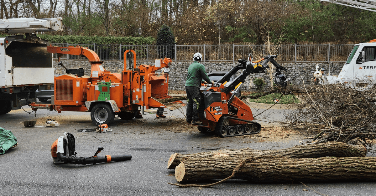 Emergency Tree Service in Belle Meade, TN