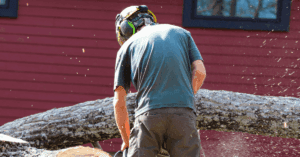 The Best Time to Prune Trees and Shrubs in Nashville, TN