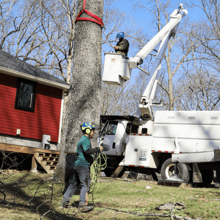 HOA tree services in Nashville by The Good Tree Company for safe, healthy, and beautiful communities