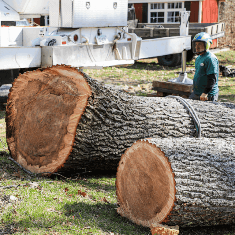 Emergency tree removal after a storm in a Nashville neighborhood