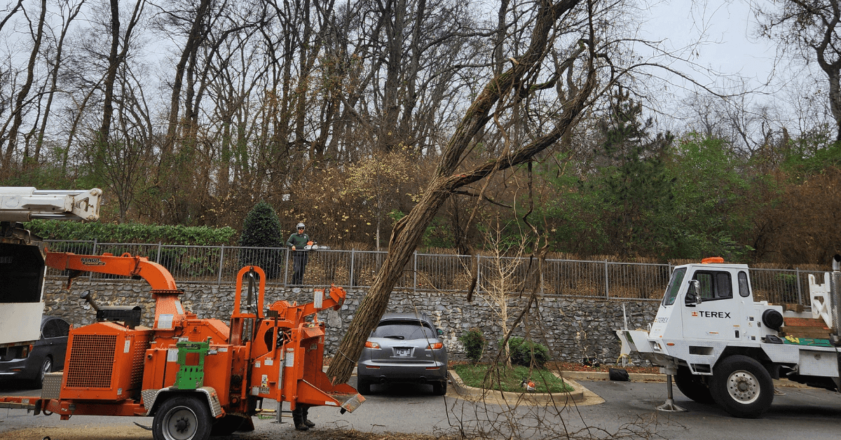 Safe and Professional Tree Removal in Green Hills, TN by Certified Arborists