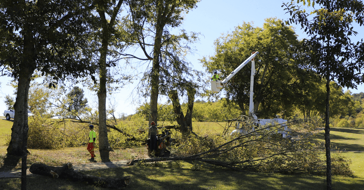 Brush and debris cleared after a storm in a suburban street in Davidson County, TN