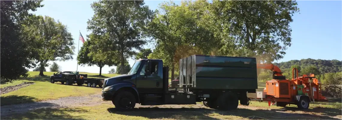 Healthy backyard trees maintained by The Good Tree Company in Franklin, TN.