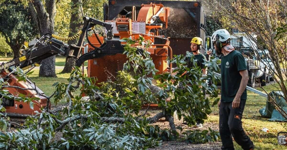 Efficient Tree Removal Service in Brentwood, TN by Local Experts