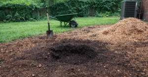 Can You Replant a Tree After Stump Grinding in Nashville?