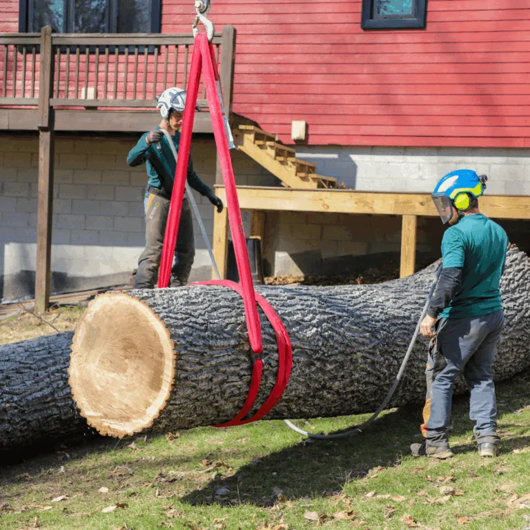 Tree service professionals using a crane for safe removal in Nashville and surrounding areas