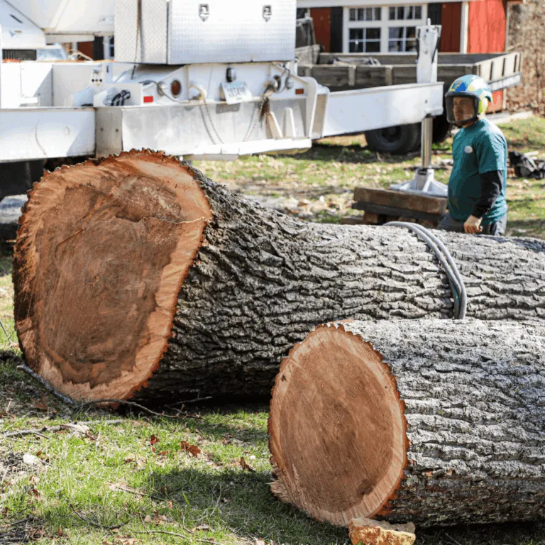 Emergency tree removal after a storm in a Nashville neighborhood