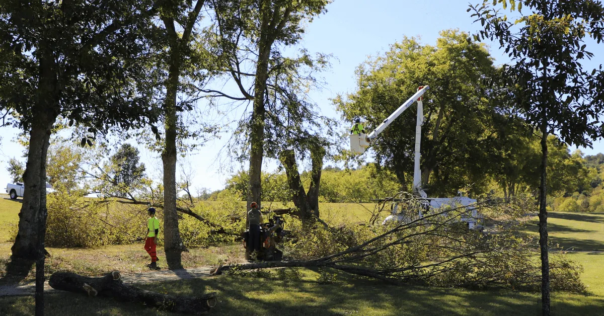 Brush and debris cleared after a storm in a suburban street in Davidson County, TN