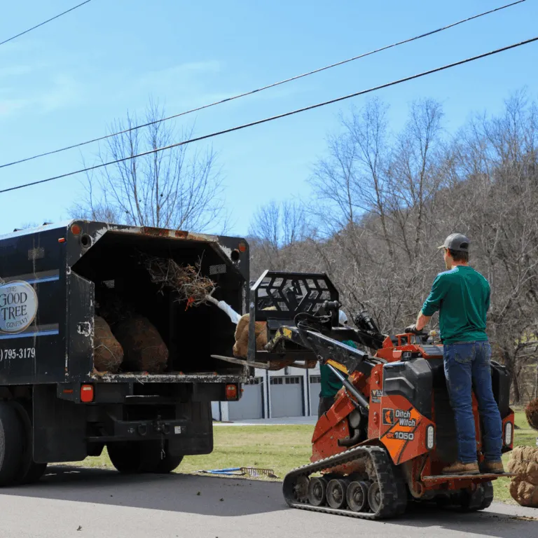 Emergency tree service in Nashville, TN after severe storm damage