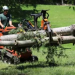 Reliable Tree Service Near Me