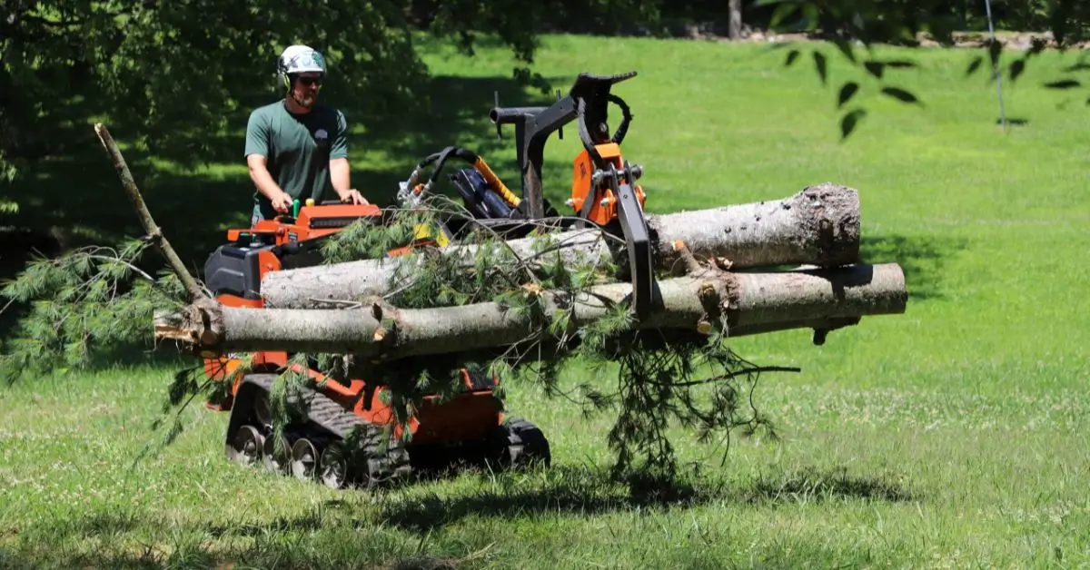 Reliable Tree Service Near Me