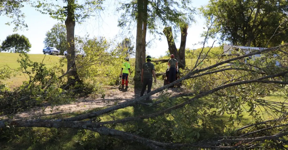 The Good Tree Company: 24/7 Emergency Service & Storm Damage Cleanup