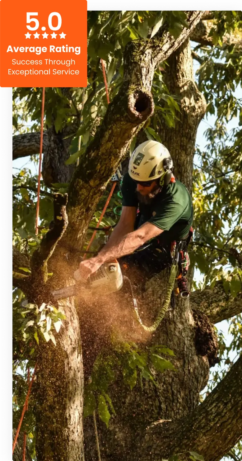 Commercial Tree Service