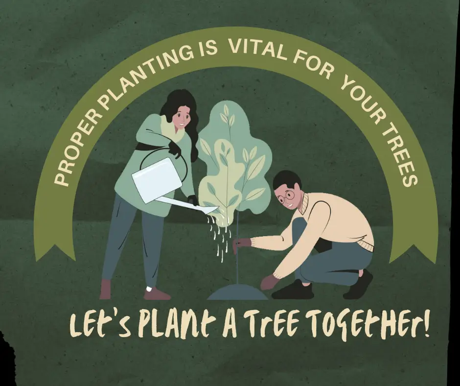 Let's plant a tree