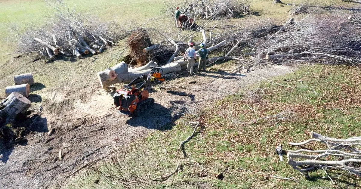 The Good Tree Company: Professional Land Clearing / Forestry Mulching