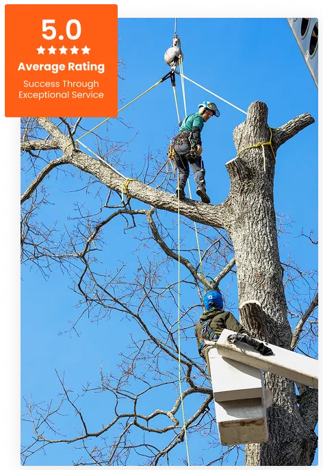 Commercial Tree Service