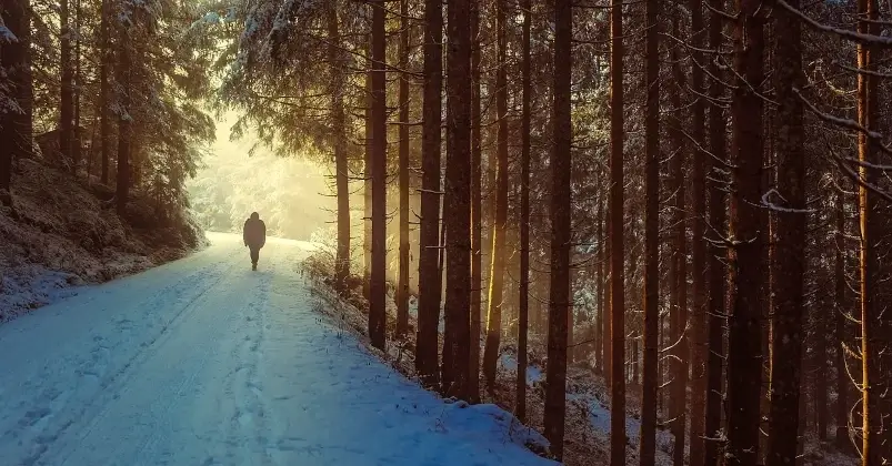 Winter Trimming